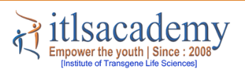 ITLS ACADEMY logo